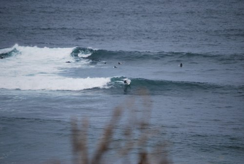 Surf en Portugal